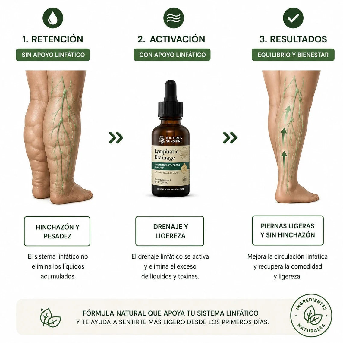 DRENAJE LINFÁTICO NATURAL ORIGINAL 🤩 SUPER OFERTA